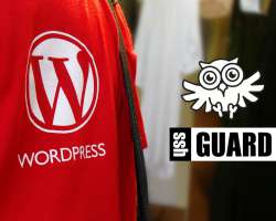 I plugin e i temi di WordPress potrebbero avere delle vulnerabilit: Come proteggere il tuo sito
