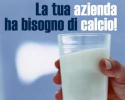 Perch� fare pubblicit� sul web?