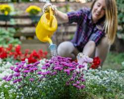 AGGIORNARE IL TUO SITO WEB � FONDAMENTALE PER �TENERLO IN VITA� 